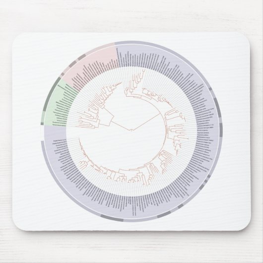 Ein phylogenetischer Baum Mousepad (Vorne)