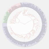 Ein phylogenetischer Baum Runder Aufkleber (Vorderseite)