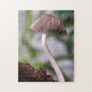 Ein Pilz Puzzle