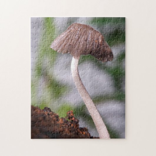 Ein Pilz Puzzle (Vertikal)
