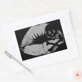 Ein Piratenkuss Rechteckiger Aufkleber (Umschlag)