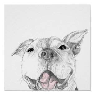 Ein Pit Bull Lächeln Poster