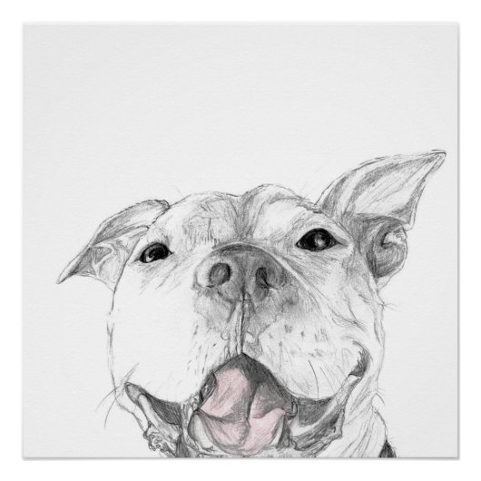 Ein Pit Bull-Lächeln Poster (Vorderseite)