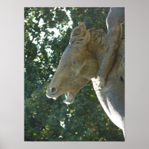 Ein Plaza Fountain - Pferd Poster