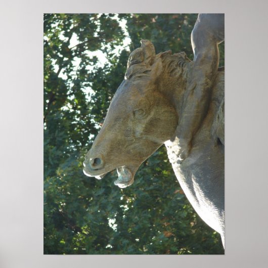 Ein Plaza Fountain - Pferd Poster (Vorne)