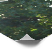 Ein Plaza Fountain - Pferd Poster (Ecke)