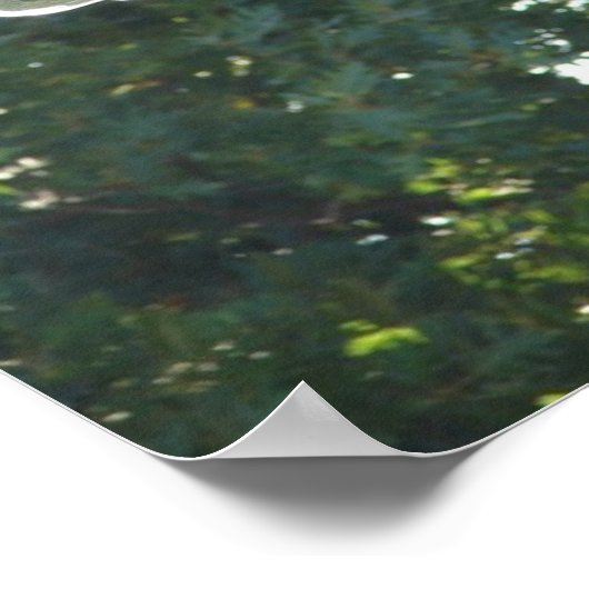 Ein Plaza Fountain - Pferd Poster (Ecke)