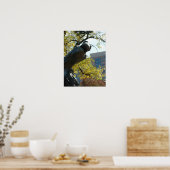 Ein Plaza Horse Poster (Küche)