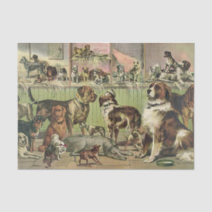 Ein Plethora Hunde-Gewebepapier Seidenpapier