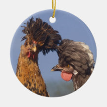 Ein polnisches Huhn-Weihnachten