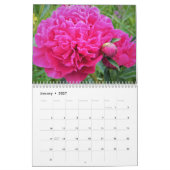 Ein Pop des Farbkalenders Kalender (Jan 2027)