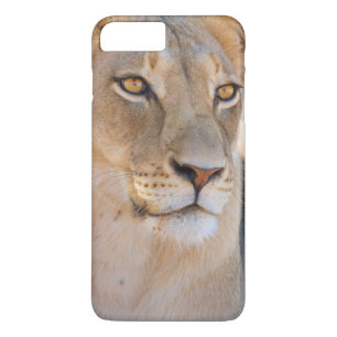 Ein Porträt einer Lioness, die in die Ferne schaut Case-Mate iPhone Hülle
