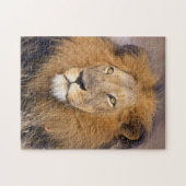 Ein Porträt einer Löwe, die in die Ferne schaut Puzzle (Horizontal)