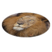 Ein Porträt einer Löwe, die in die Ferne schaut Schneidebrett (Ecke)