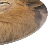 Ein Porträt einer Löwe, die in die Ferne schaut Schneidebrett (Ecke)