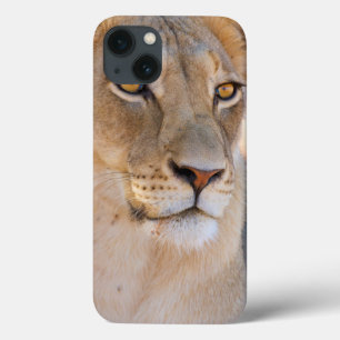 Ein Porträt einer Löwin, die den Abstand Case-Mate iPhone Hülle