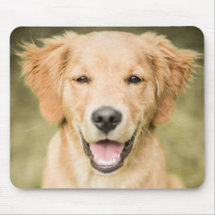 Ein Porträt eines golden retriever-Welpen Mousepad