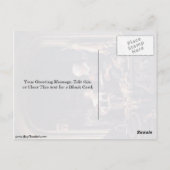 Ein Poulterer's Shop. von Gerrit Dou Postkarte (Rückseite)