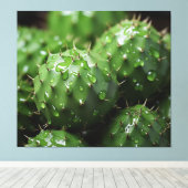 Ein prickly Ensemble Kakteen Fotorealismus Botanis Leinwanddruck (Insitu (Holzboden))