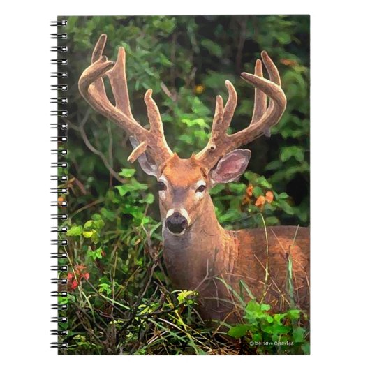 "Ein Prinz des Wald" Notizbuch Notizblock (Vorderseite)