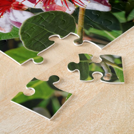 Ein Quartett der Ananas-Guave/der Guavasteen Puzzle (Seite)