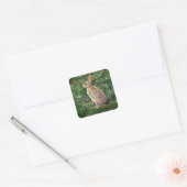Ein Rabbit-Bild Quadratischer Aufkleber (Umschlag)