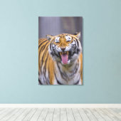 Ein rauschender Tiger, Taiwan, Taipei, Taipei Zoo Leinwanddruck (Insitu (Holzboden))