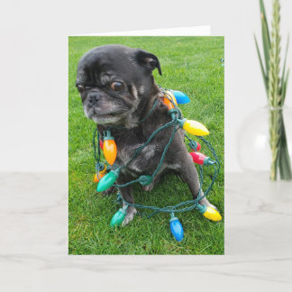 Ein rauschfreies Weihnachten