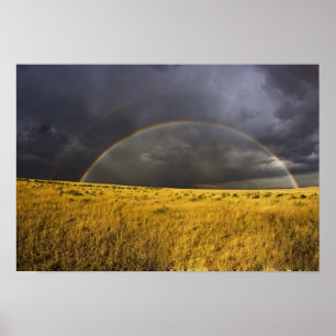Ein Regenbogen, der nach Mittag durch einen Mistst Poster