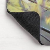 Ein regnerischer Morgen im Herbst (Fall) mit einem Mousepad (Ecke)