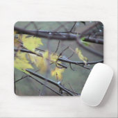 Ein regnerischer Morgen im Herbst (Fall) mit einem Mousepad (Mit Mouse)
