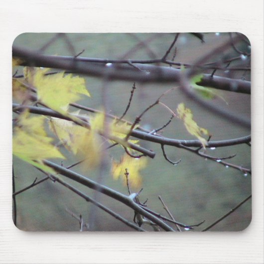 Ein regnerischer Morgen im Herbst (Fall) mit einem Mousepad (Vorne)
