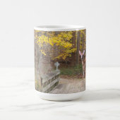 Ein Reh im Park Kaffeetasse (Mittel)