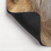 Ein reifer Löwe (Panthera leo) im Savuti Mousepad (Ecke)