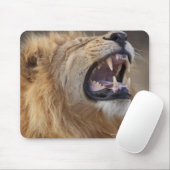 Ein reifer Löwe (Panthera leo) im Savuti Mousepad (Mit Mouse)