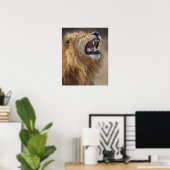 Ein reifer Löwe (Panthera leo) im Savuti Poster (Heimbüro)