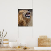 Ein reifer Löwe (Panthera leo) im Savuti Poster (Küche)