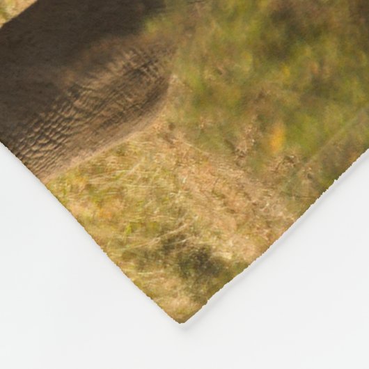 Ein Rhino mit ihrem Baby Fleecedecke (Ecke)
