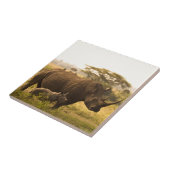 Ein Rhino mit ihrem Baby Fliese (Seite)