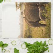 Ein Rhino mit ihrem Baby Geschirrtuch (Gefaltet)