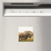 Ein Rhino mit ihrem Baby Magnet (In Situ (Geschirrspüler))