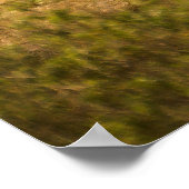 Ein Rhino mit ihrem Baby Poster (Ecke)