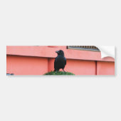 Ein riesiger Dschungel zieht sich auf einem Wolken Autoaufkleber (Vorne)