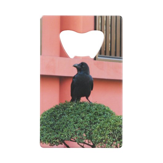 Ein riesiger Dschungel zieht sich auf einem Wolken Geldbeutel Flaschenöffner (Rückseite)