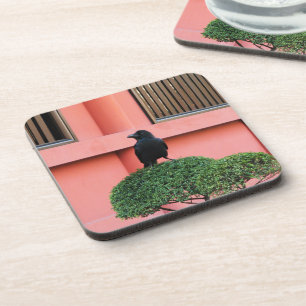 Ein riesiger Dschungel zieht sich auf einem Wolken Getränkeuntersetzer