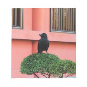 Ein riesiger Dschungel zieht sich auf einem Wolken Notizblock (Vorderseite)