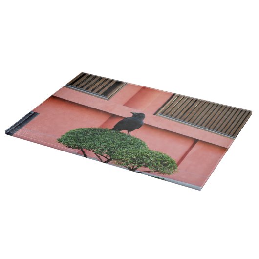 Ein riesiger Dschungel zieht sich auf einem Wolken Schneidebrett (Ecke)