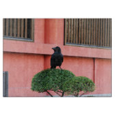 Ein riesiger Dschungel zieht sich auf einem Wolken Schneidebrett (Vorderseite)