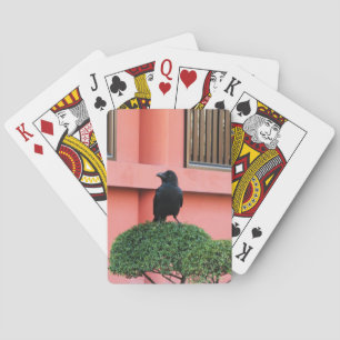 Ein riesiger Dschungel zieht sich auf einem Wolken Spielkarten