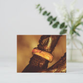 EIN RING, UM SIE ALLE ZU REGELN™ POSTKARTE (Stehend Vorderseite)